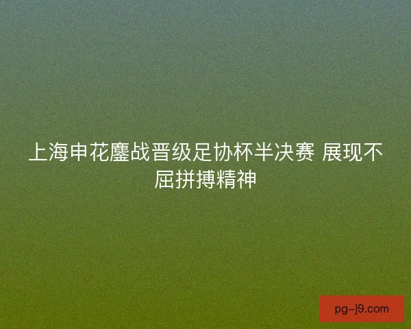 上海申花鏖战晋级足协杯半决赛 展现不屈拼搏精神